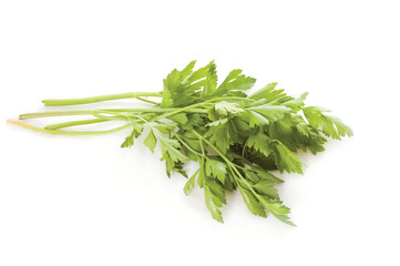 fresh parsley