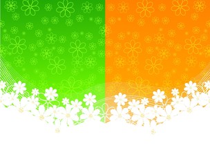 two background with daisies. vector