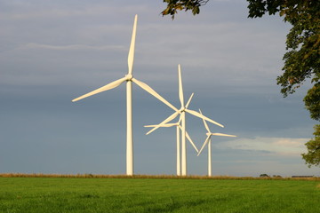 Wind Farm