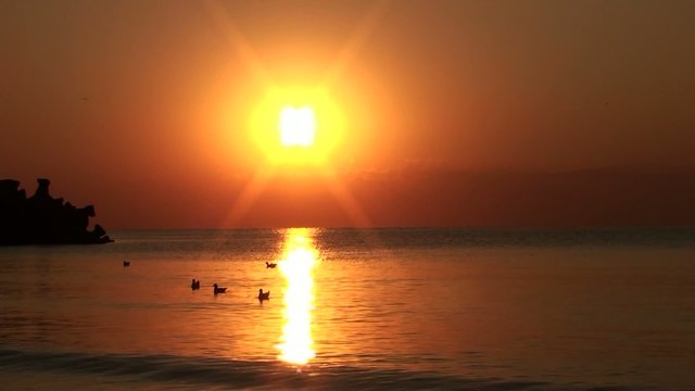 Beautiful sunrise with sea and seagulls