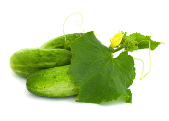 Cucumbers