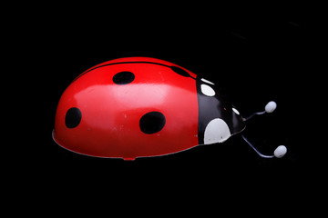 ladybug toy