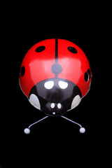 Fototapeta premium ladybug toy