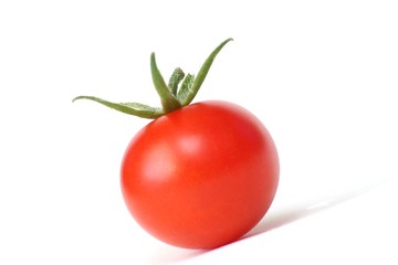 frische Tomate