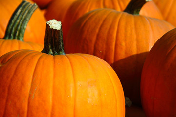 Halloweenkürbisse