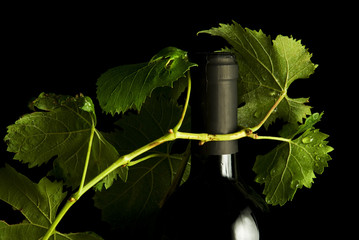 bottiglia di vino rosso con vite