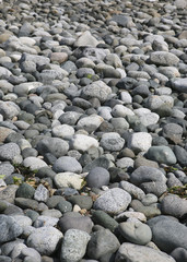 beach pebbles
