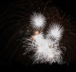 Lichtermeer im Goldregen