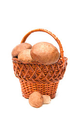 Wattled basket with ceps