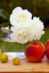 rosen mit pfirsiche