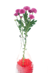 decoration bottle with flowers isolated on white