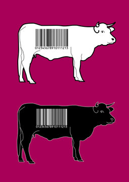 Vaches codes-barres, vecteurs