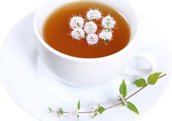 Cup of green tea isolated on white with flowers of peppermint