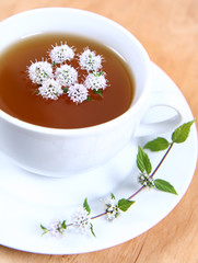 Cup of green tea with flowers of peppermint floating in it