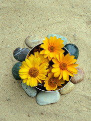 Kompozycja z kwiatów © rak7