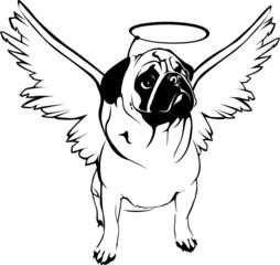 Angel-Pug