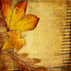 vintage paper background with autumn leaves