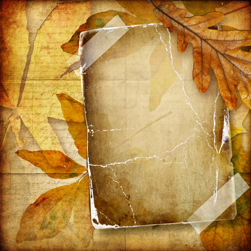 vintage autumn composition with old paper frame