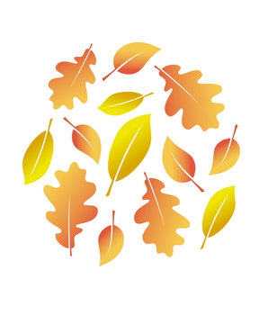 vector autumn leaves