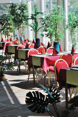 tropical restaurant indoor