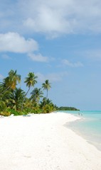 Fototapeta na wymiar Beach paradise with palm trees