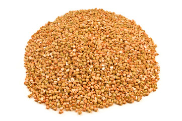 graines de sarrazin biologique