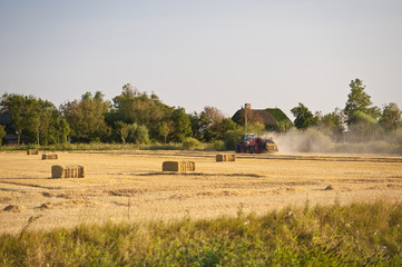 harvest