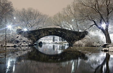 Central Park at night NYC - 16495549