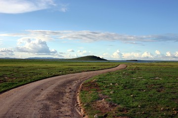 Path in Amboseli