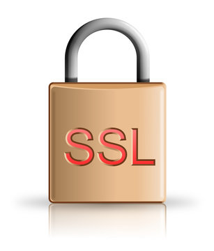 SSL icon