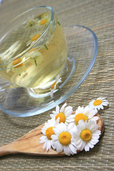 Obraz na płótnie Canvas cup of herbal tea with camomile flowers