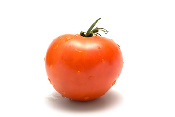 Tomato on a white background