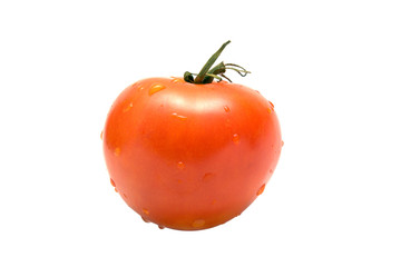 Tomato on a white background