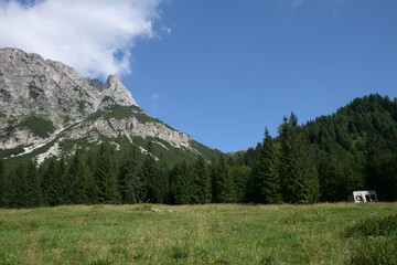 Paesaggio alpino