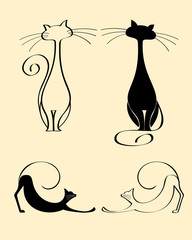 Cats. In my portfolio you'll find images of the same series