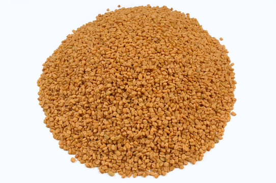 graines biologiques de fenugrec