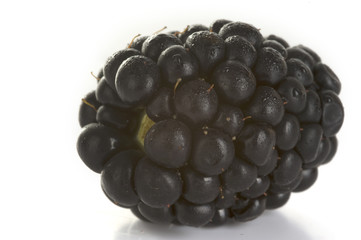 blackberry