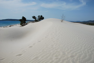 Fototapeta na wymiar dunes blanches vers Teulada, Sardaigne
