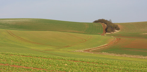 Obraz premium Paysage agricole