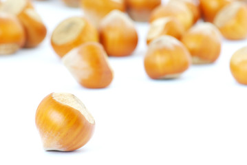 hazelnuts
