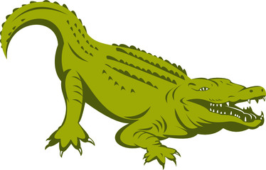Alligator about to attack