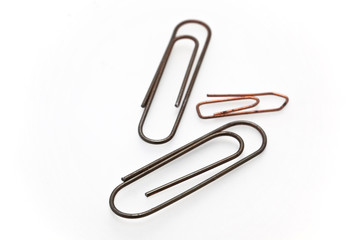 Paperclips isolated
