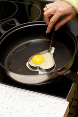 Fried egg