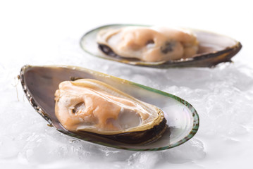 Mussels On Ice