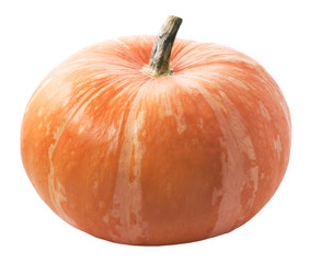 Pumpkin on white background