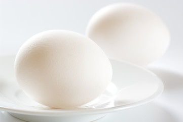 Chicken eggs close-up