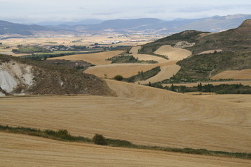 Naklejka premium Paisaje de campos de cereal recogidos.
