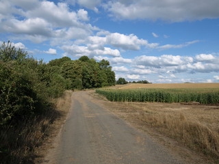 Fototapeta premium plaine escaut