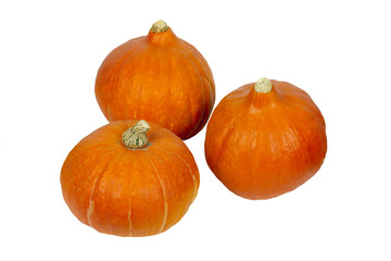 K&uuml;rbisse - freigestellt