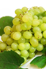 Weintrauben,freigestellt